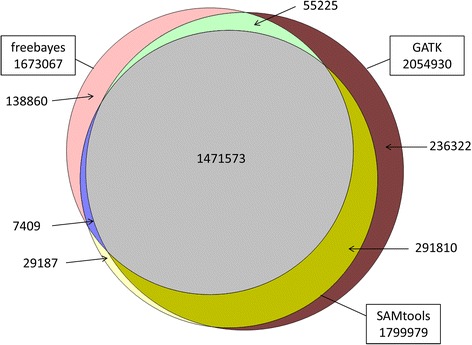 Comparison among three variant callers and assessment of the accuracy of imputation from SNP array data to whole-genome sequence level in chicken.