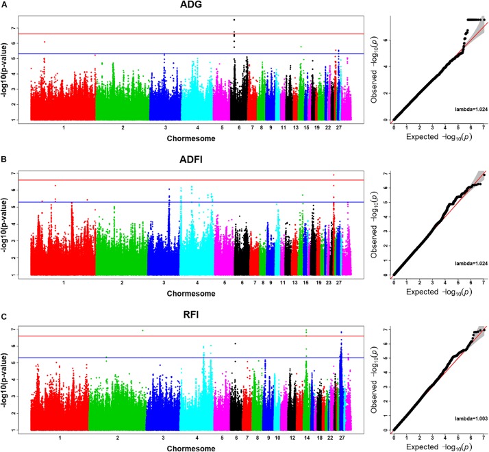 New Insights From Imputed Whole-Genome Sequence-Based Genome-Wide Association Analysis and Transcriptome Analysis: The Genetic Mechanisms Underlying Residual Feed Intake in Chickens.
